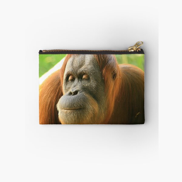 Item preview, mama, orang-utan. melbourne zoo designed and sold by bodhiimages.