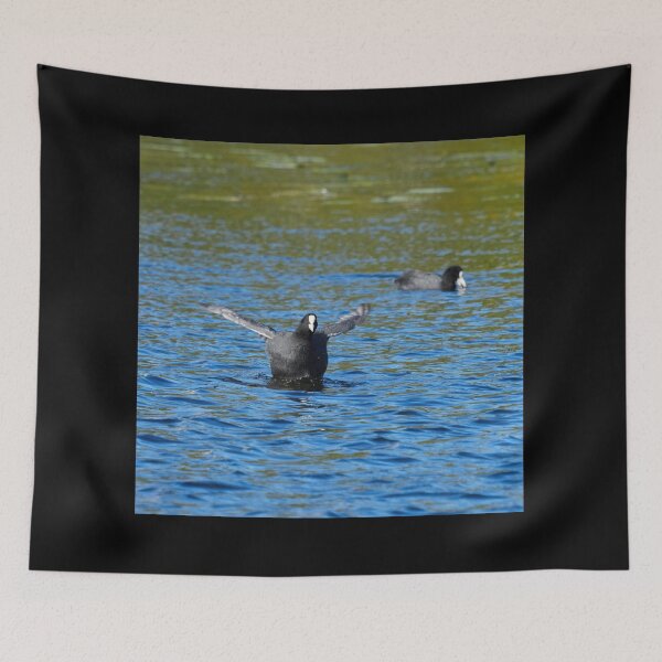 Item preview, Black ball with wings. Eurasian coot designed and sold by Jouko Lehto Photography.