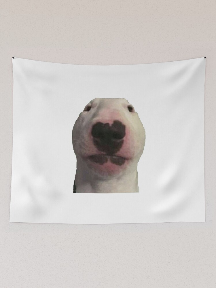 Walter meme dog hat shirt, hoodie, sweater, long sleeve and tank top