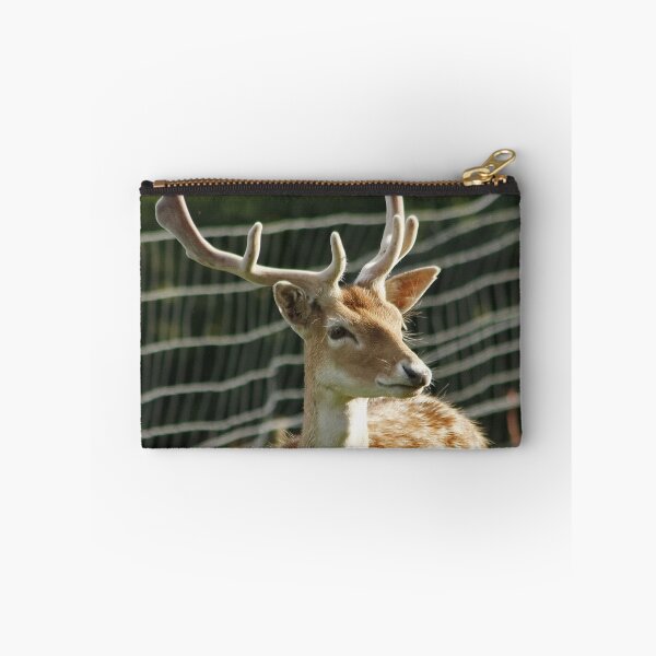 Item preview, Fallow Deer Stag designed and sold by AnnDixon.