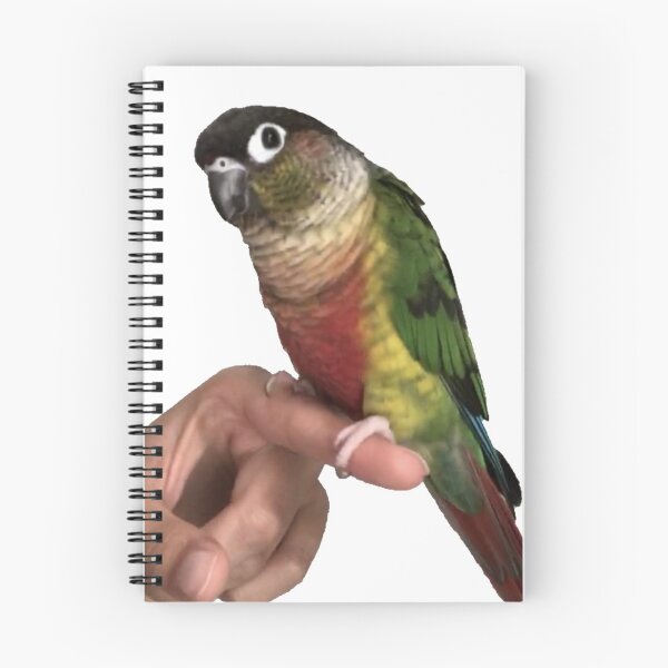 Item preview, Parrot picture | Cute Parrot | Bird | Parrot on finger | Parakeet | Green cheek conure | Pyrrhura designed and sold by TatianaLG.