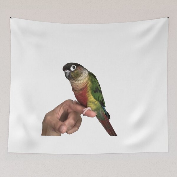 Item preview, Parrot picture | Cute Parrot | Bird | Parrot on finger | Parakeet | Green cheek conure | Pyrrhura designed and sold by TatianaLG.