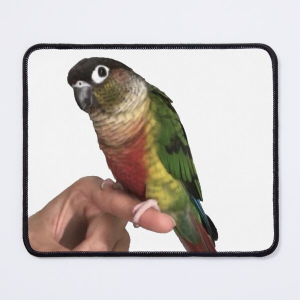 Item preview, Parrot picture | Cute Parrot | Bird | Parrot on finger | Parakeet | Green cheek conure | Pyrrhura designed and sold by TatianaLG.