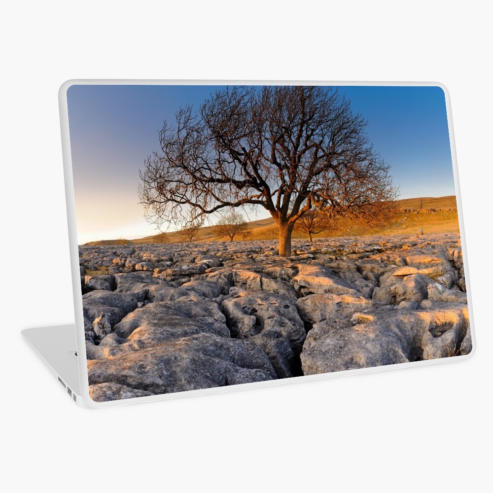 Item preview, Laptop Skin designed and sold by sjbowen.