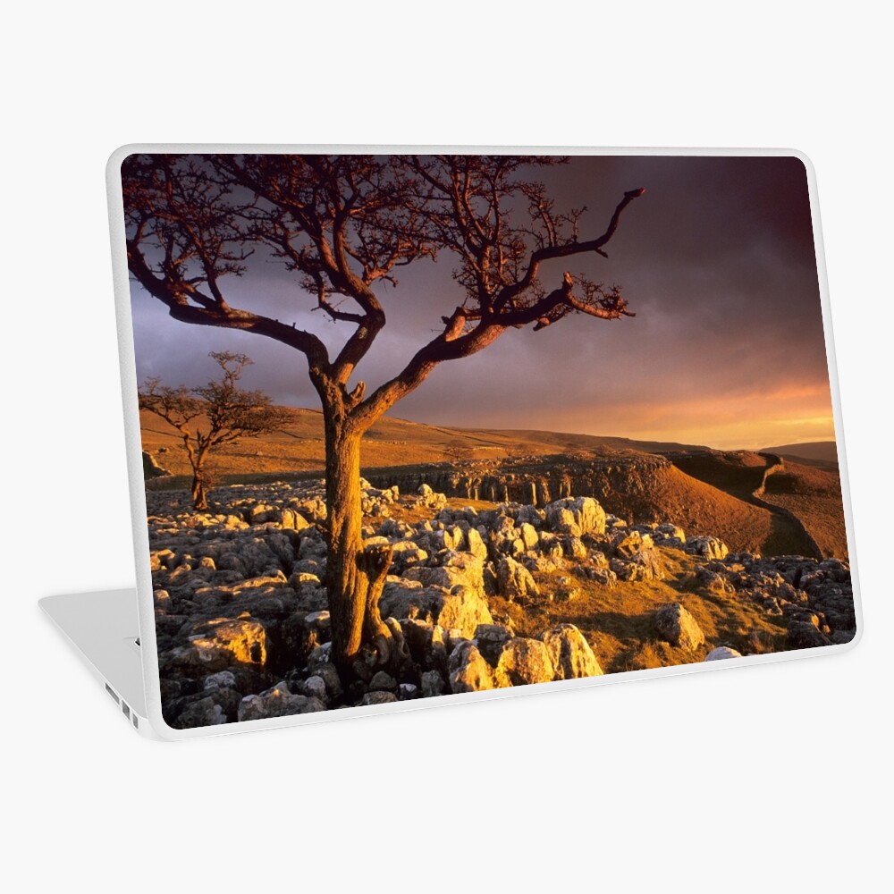 Item preview, Laptop Skin designed and sold by sjbowen.