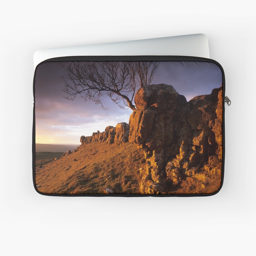 Item preview, Laptop Sleeve designed and sold by sjbowen.