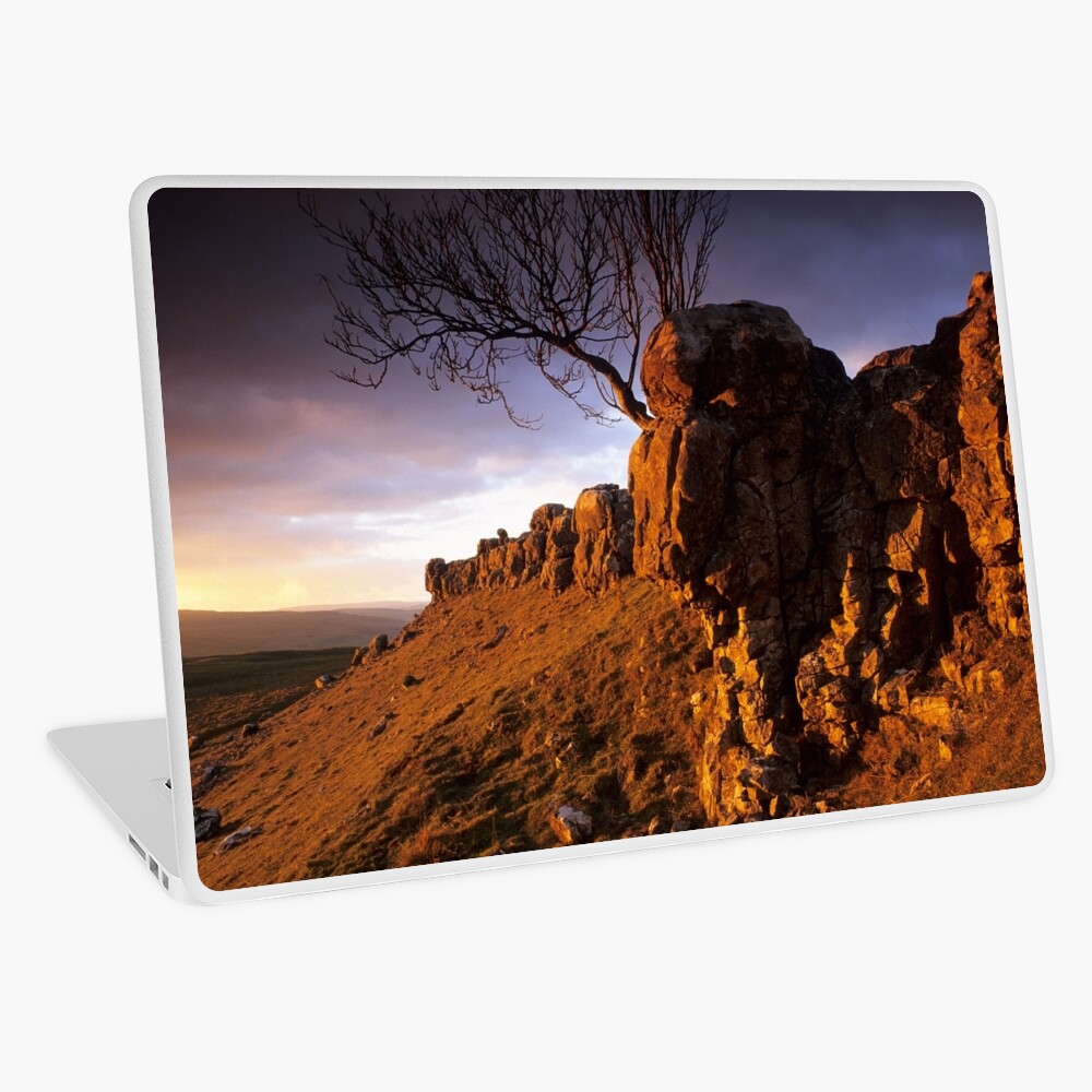 Item preview, Laptop Skin designed and sold by sjbowen.