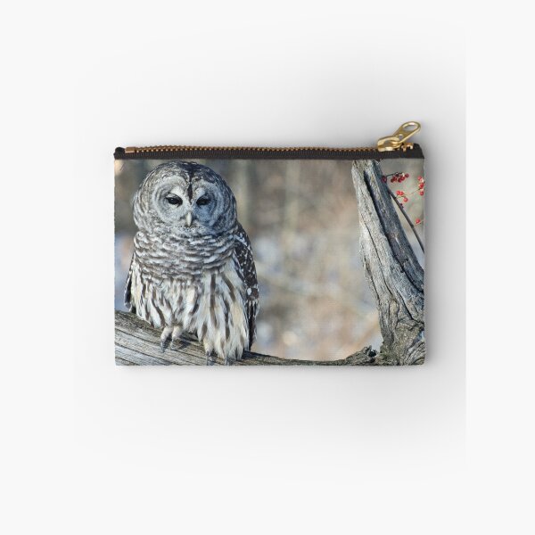Item preview, Barred owl for Jean designed and sold by cherylc1.
