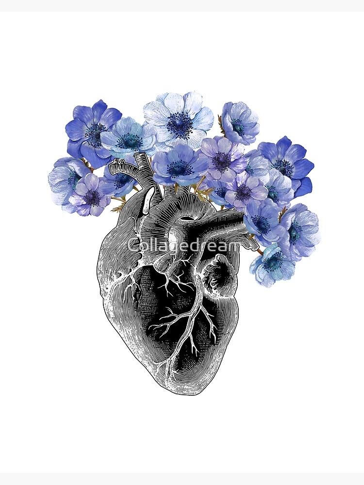 Lámina rígida «Corazón humano con flores de anémonas azules, negras» de  Collagedream | Redbubble