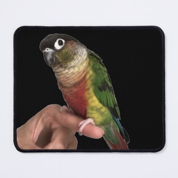 Item preview, Parrot picture | Cute Parrot | Bird | Parrot on finger | Parakeet | Green cheek conure | Pyrrhura designed and sold by TatianaLG.