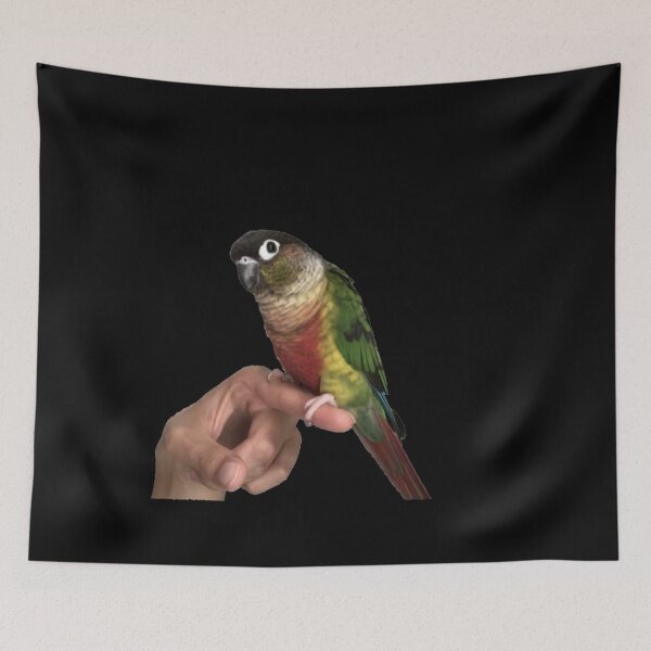 Item preview, Parrot picture | Cute Parrot | Bird | Parrot on finger | Parakeet | Green cheek conure | Pyrrhura designed and sold by TatianaLG.