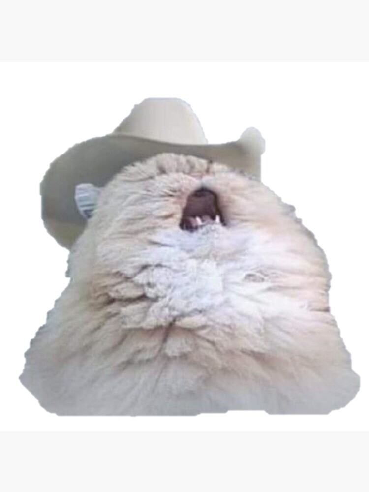"Cowboy Cat Scream Meme Funny Meme" Art Print by memeology69 Redbubble