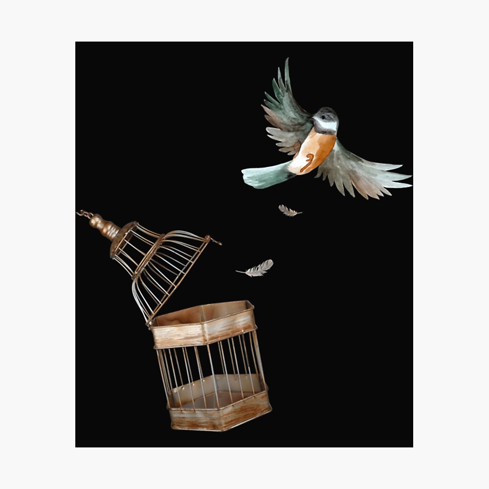 Top more than 147 sad bird in cage drawing best seven.edu.vn