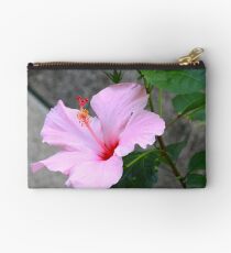 A specie of Hibiscus Rosa-senensis Linn. Studio Pouch