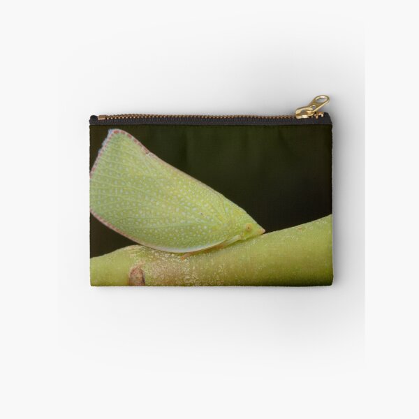 Item preview, Green Planthopper - Siphanta sp. designed and sold by Andrew Trevor-Jones.