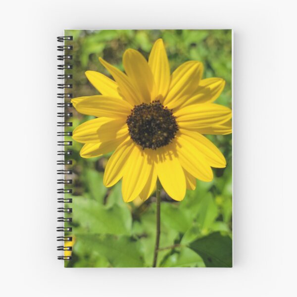 Item preview, Sunny day flower designed and sold by Jessica Tipton.