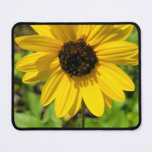 Item preview, Sunny day flower designed and sold by Jessica Tipton.