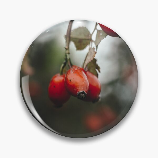Item preview, Rose hip designed and sold by alishen.
