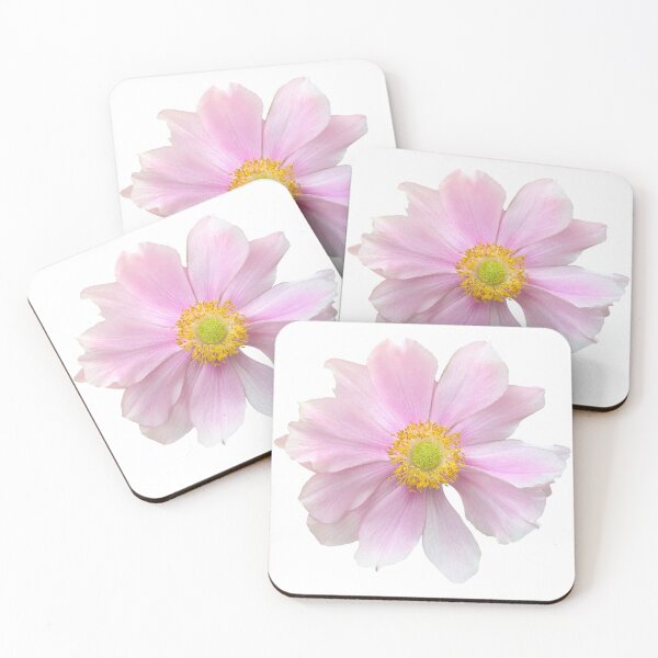 Item preview, Pink Anemone Flower Still Life Floral Photography designed and sold by CottoVerdi.