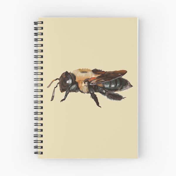 Item preview, southern carpenter bee 1 designed and sold by AngelTheSiren.