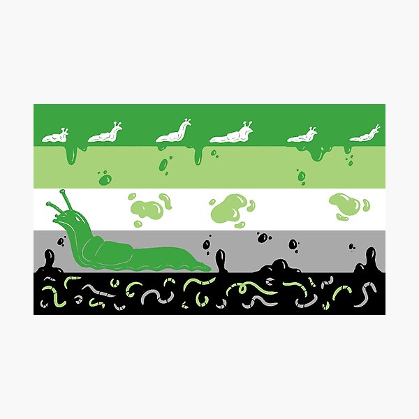 Item preview, SPOOKY Aromantic Pride Flag designed and sold by socksonat3am.