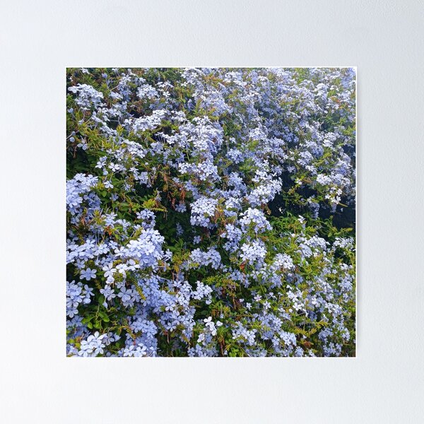 Item preview, Beautiful Flowers in Italy designed and sold by Madecassoll Art.