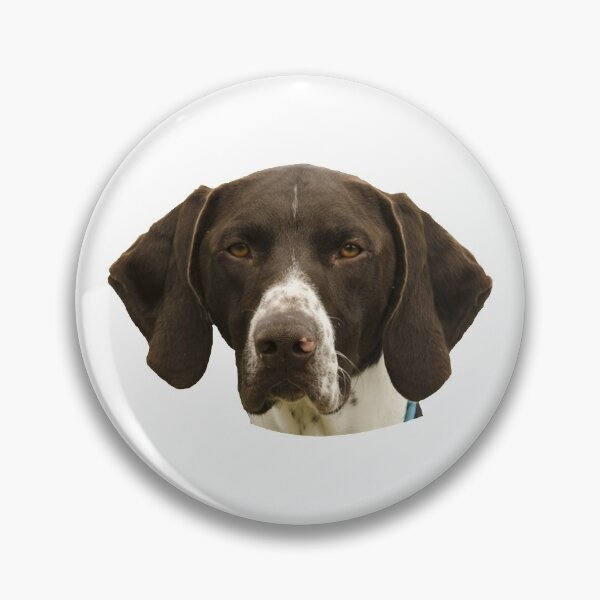 Item preview, German Shorthaired Pointer Sticker designed and sold by apuppyfeed.