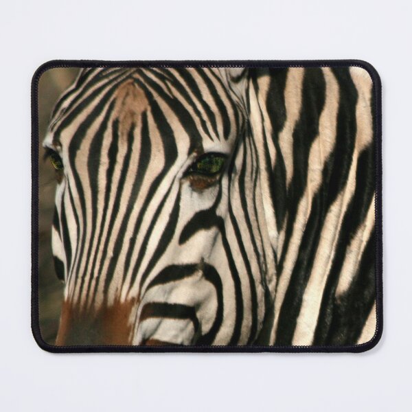 Item preview, Zebra Close Up on Safari in South Africa. designed and sold by KarenZuk.