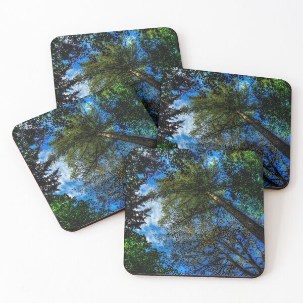 Item preview, Looking Up In Lumley Park Wood designed and sold by axp7884.