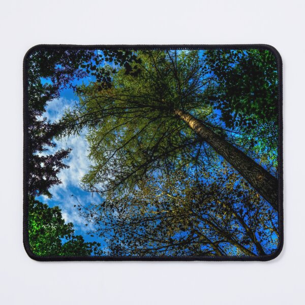 Item preview, Looking Up In Lumley Park Wood designed and sold by axp7884.