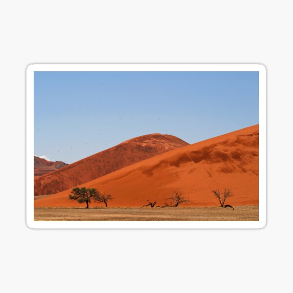 the desert birds Sticker