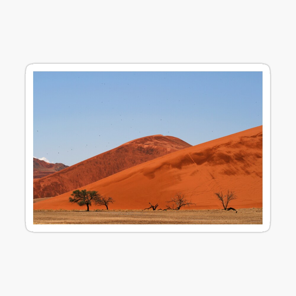 the desert birds Sticker