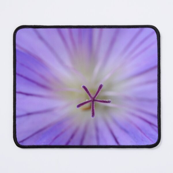 Item preview, Geranium  'Johnson's Blue'  Crane's bill	 designed and sold by Chris Burrows.