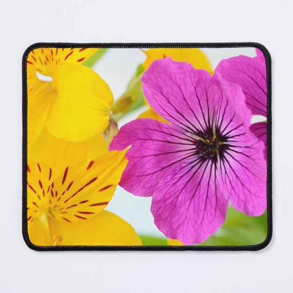 Item preview, Alstroemeria aurea  Peruvian lily  and  Geranium psilostemon  AGM  Armenian cranesbill  designed and sold by Chris Burrows.