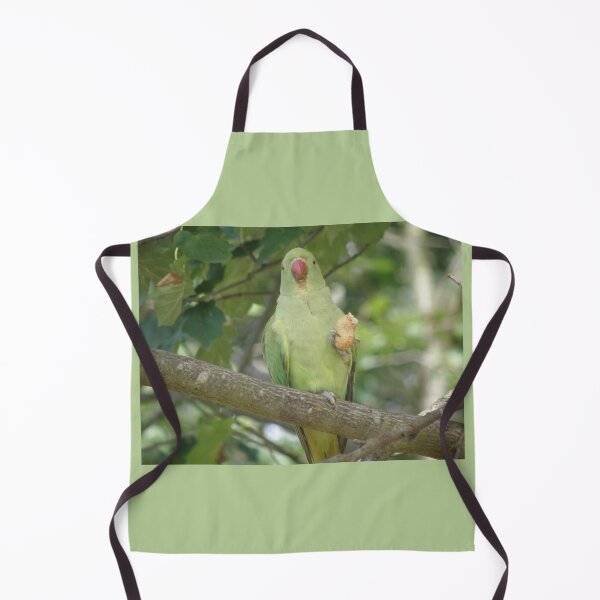Item preview, Funny Ring Necked Parakeet and Peanut Photograph designed and sold by naturegallery.