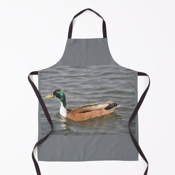 Item preview, Domestic Manky Mallard Duck Photograph designed and sold by naturegallery.