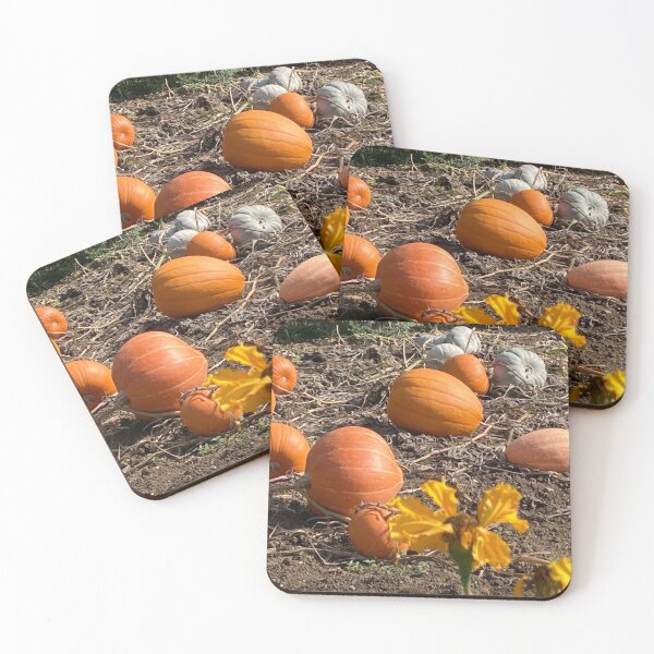 Item preview, Pumpkin patch photography designed and sold by OByD.