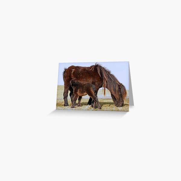 Item preview, Wild Shetland Ponies - Mare & Foal designed and sold by Liz Lane.