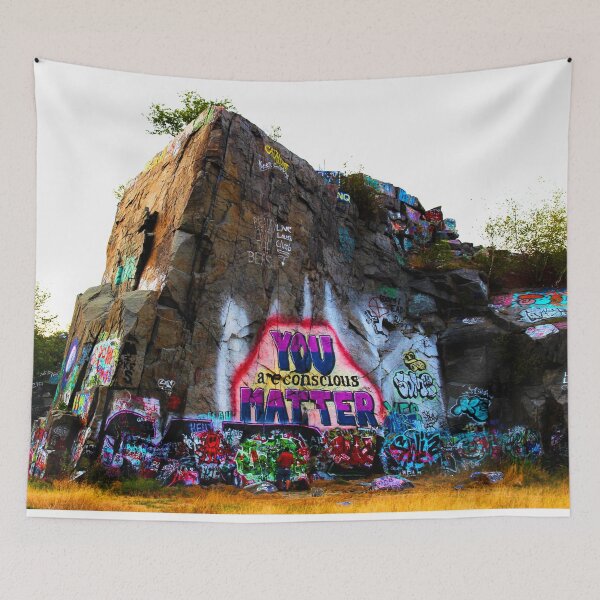 Item preview, Graffiti Art at the Quincy Quarries in Quincy, Massachusetts designed and sold by SouthShorePics.