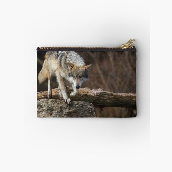 Item preview, Intensity designed and sold by John Absher.