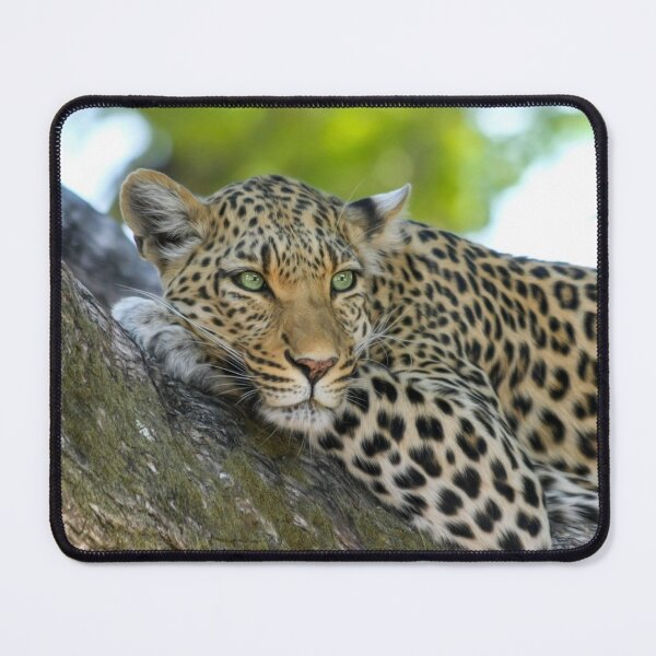 Item preview, Green Eyed Leopard designed and sold by Michelle Moss.