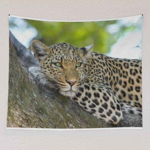 Item preview, Green Eyed Leopard designed and sold by Michelle Moss.