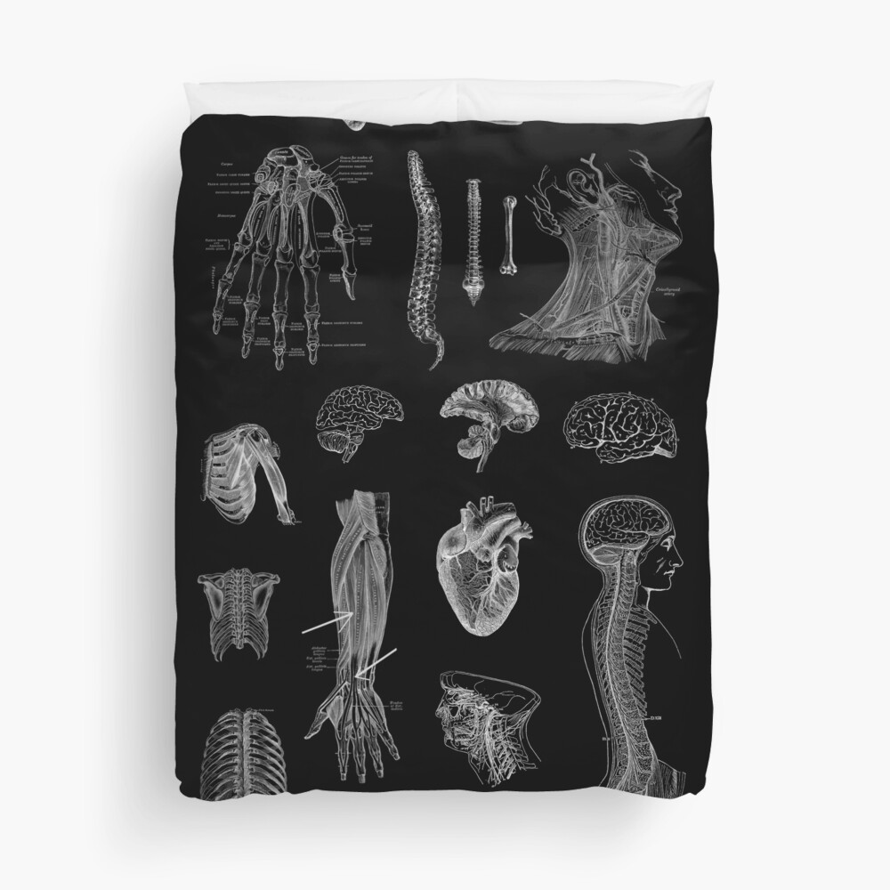 Vintage Anatomy Print Duvet Cover