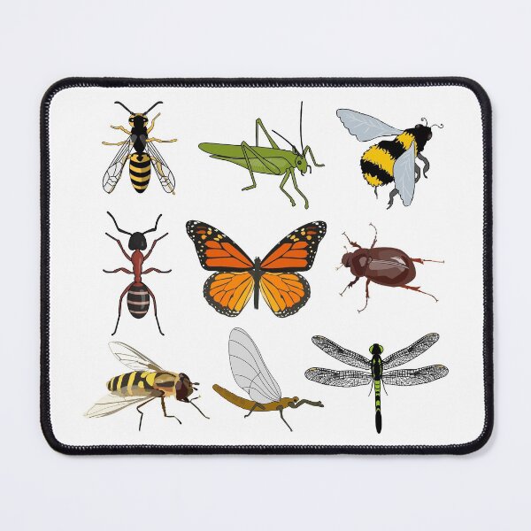 Item preview, Bugs Pack designed and sold by NTxPhotography.