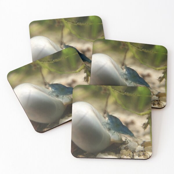 Item preview, Blue Dream Shrimp and Ramshorn Snail designed and sold by Hazel Hall.