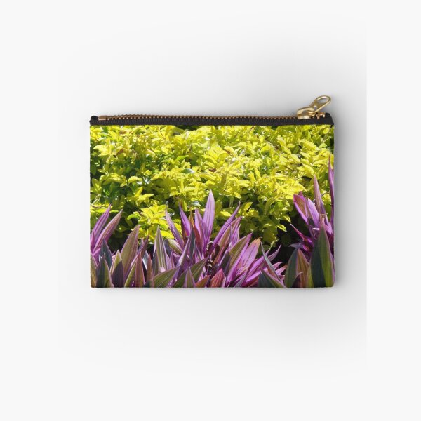 Item preview, Plants At The Malecon - Plantas En El Malecon designed and sold by Bernhard Matejka.