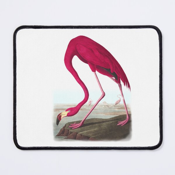 Item preview, Flamingo by John James Audubon designed and sold by ForLoveofArt.