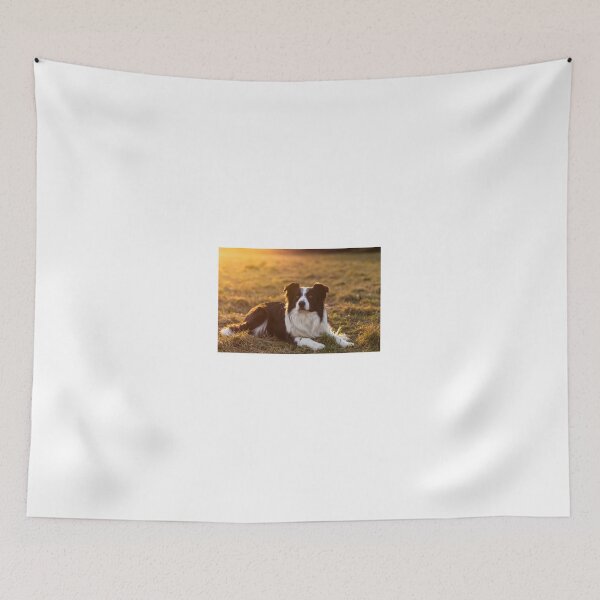 Item preview, border collie at sunset designed and sold by tartaruga1988.
