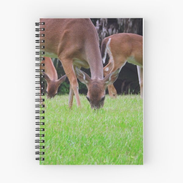 Item preview, Grazing Deer designed and sold by Jeffrey Mask.