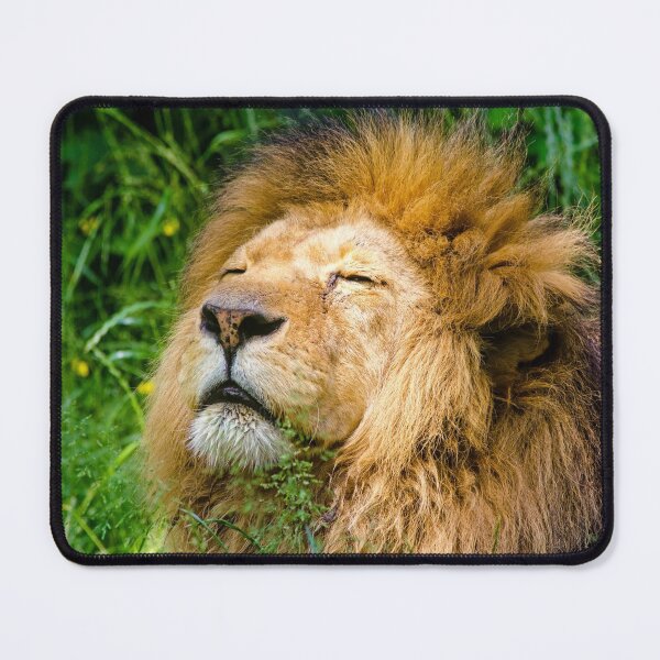 Item preview, Pondering Lion designed and sold by Michelle Moss.